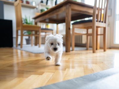 Wood Floor Services